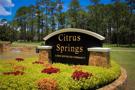 Find a prostitute Citrus Springs