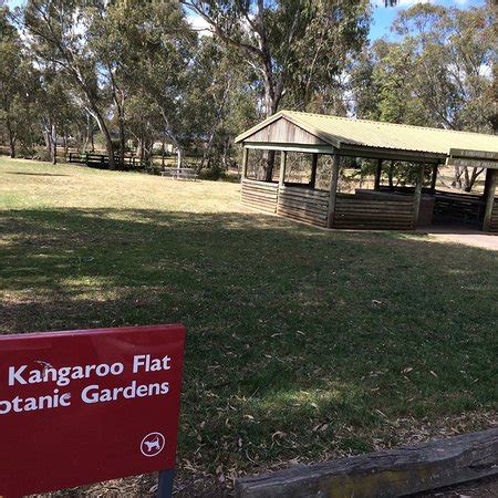 Whore Kangaroo Flat