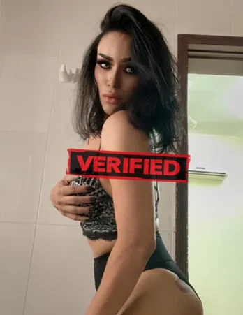Vanessa ass Prostituta Vila Vicosa